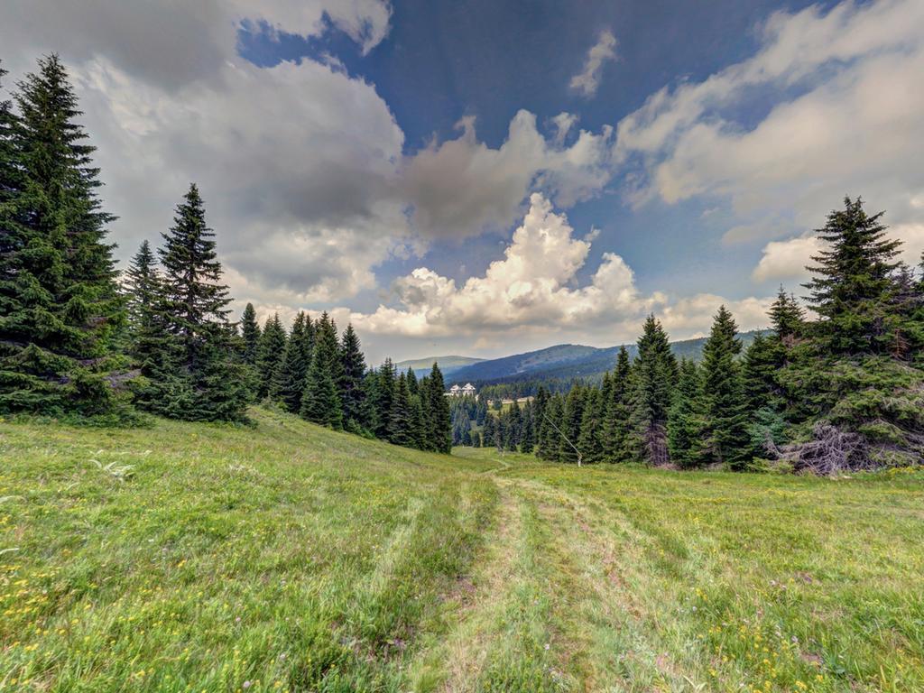 Hotel Angella Kopaonik Eksteriør bilde